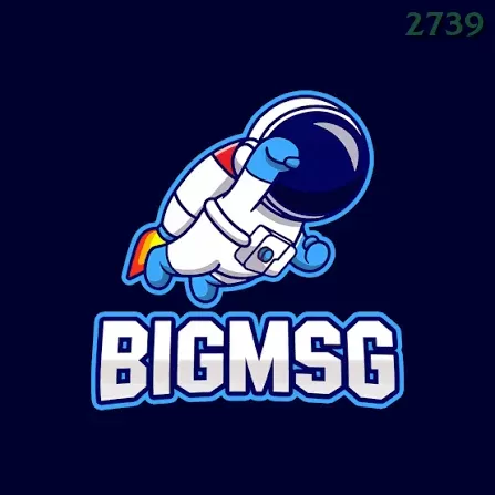 bigmsg - 11